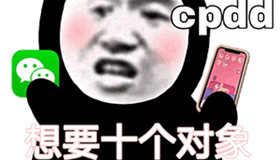 Cpdd想要十个对象图片安卓版截图5