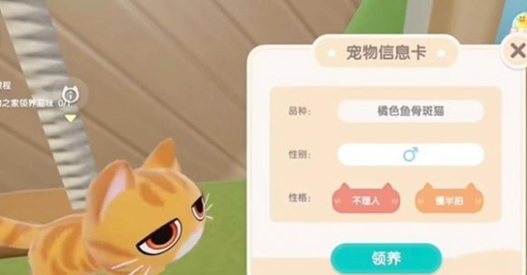 心动小镇怎么养宠物猫