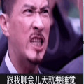 渣渣辉跟我聊会儿天就想睡觉表情包图片安卓版