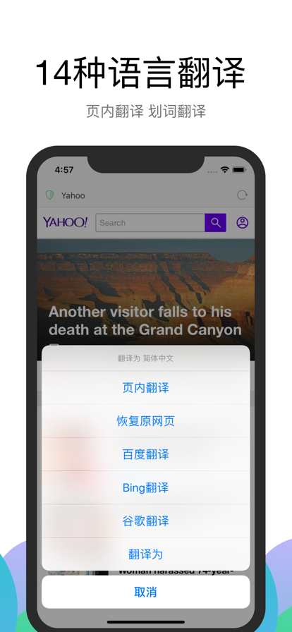 Alook浏览器官网版截图10