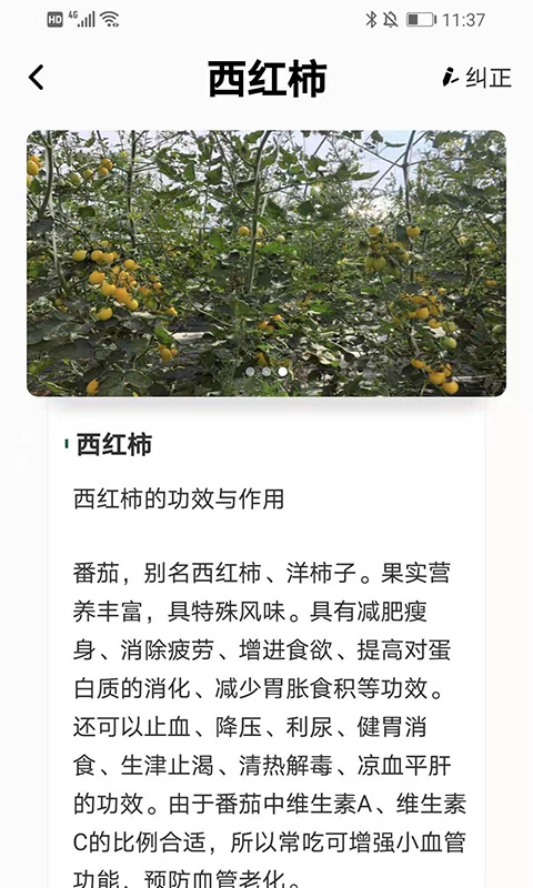 植物科普百科软件免费版截图1