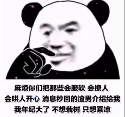 麻烦你们把那些会服软会撩人会哄人开心消息秒回的渣男介绍给我表情包