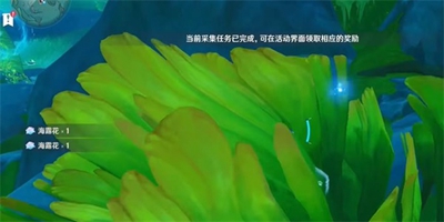 原神碧海撷波之章任务怎么做