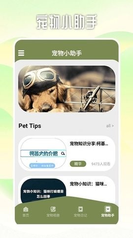 爱游猫助手手机版截图1