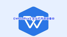 《WPSoffice》怎么打开自动备份