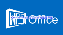 《WPSoffice》怎么对表格进行筛选