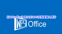 《WPSoffice》怎么在WPS文档里插入图片