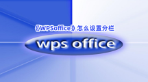 《WPSoffice》怎么设置分栏