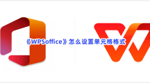 《WPSoffice》怎么设置单元格式