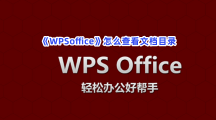 《WPSoffice》怎么查看文档目录