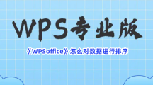 《WPSoffice》怎么对数据进行排序