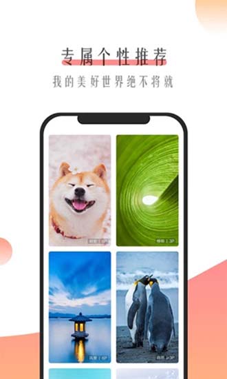 米柚壁纸最新版截图1