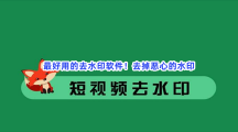 最好用的去水印软件！去掉恶心的水印