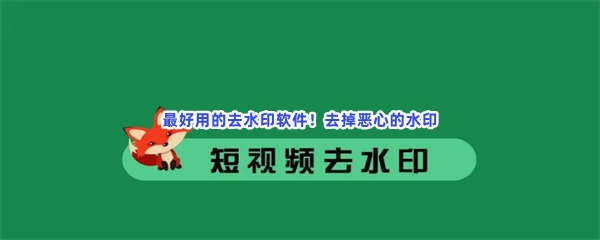 最好用的去水印软件！去掉恶心的水印