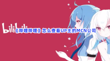 《哔哩哔哩》怎么查看UP主的MCN公司