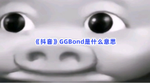 《抖音》GGBond是什么意思