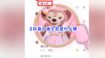 《抖音》迪士尼是什么梗