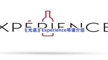 《光遇》Experience琴谱介绍