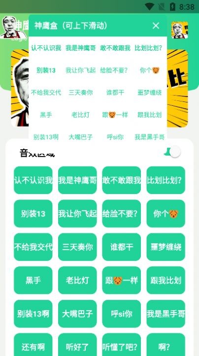 神鹰盒恶搞性很强的语音软件页面链接入口安卓版截图2