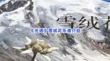 《光遇》雪绒花乐谱介绍