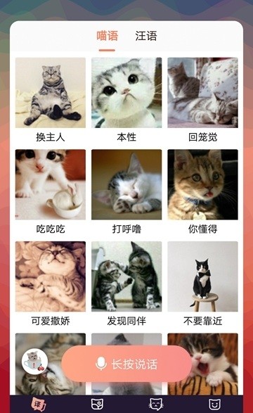 猫语互译安卓手机应用安卓版截图1