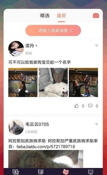 猫语互译安卓手机应用安卓版截图2