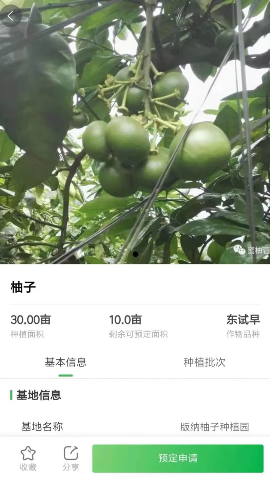 智云优选优惠购物平台最新版截图1