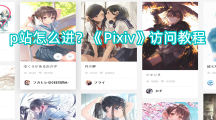 p站怎么进？《Pixiv》访问教程