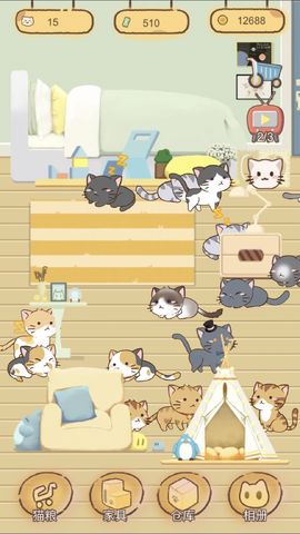 猫宅97最新版截图4