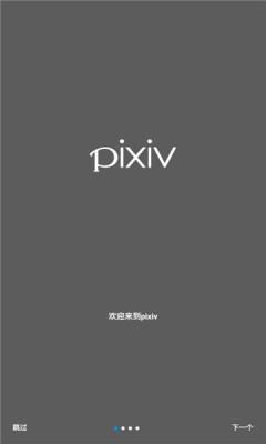 Pixiv最新网页版截图4