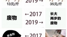 2017—2019自己的变化