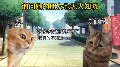 猫Meme搞怪冒险免费版截图2