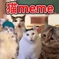 猫Meme搞怪冒险安卓免费版