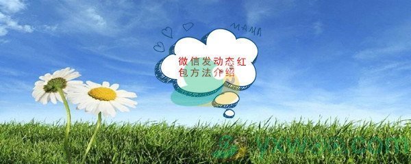 《微信》动态红包