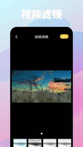 Am编辑软件最新版截图1