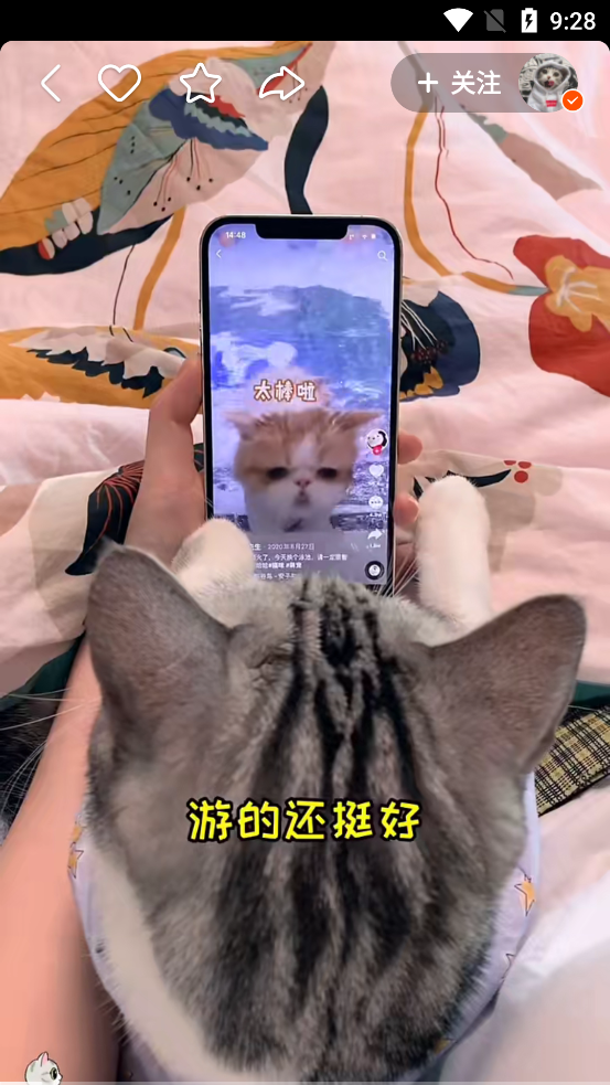 快手官方版截图2