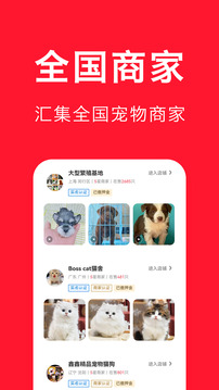 宠物宝官方新版截图2