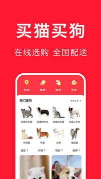 宠物宝官方新版截图3