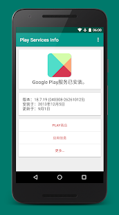 Play服务信息安卓版截图1