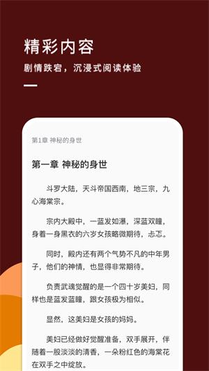 九天小说无任何弹窗广告打扰安卓版截图2